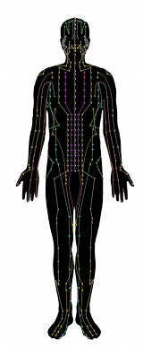 Acupuncture meridians are invisible energy pathways in your body that have been used therapeutically for over 5000 years