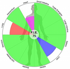 AcuGraph P.I.E. chart (Personal Integrated Energetics)